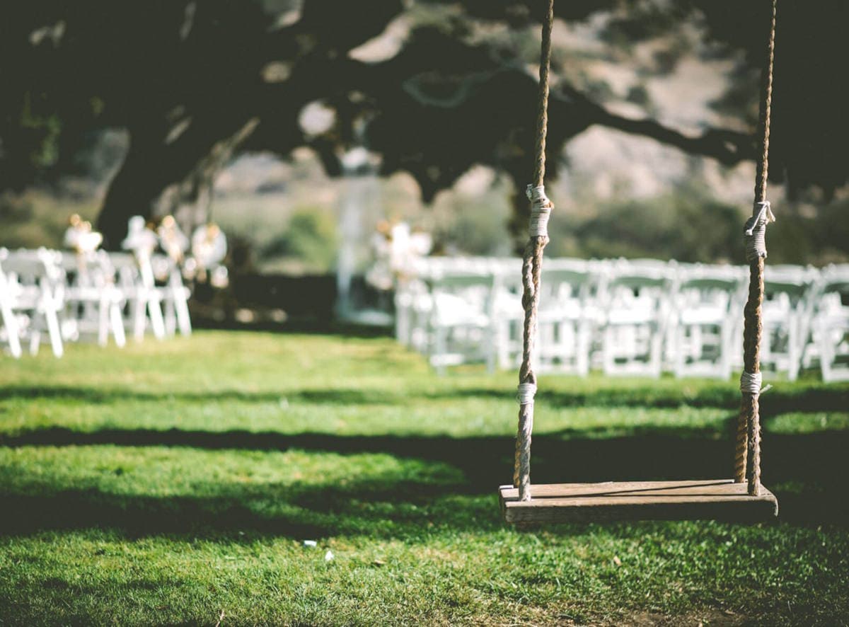 Качели на дереве