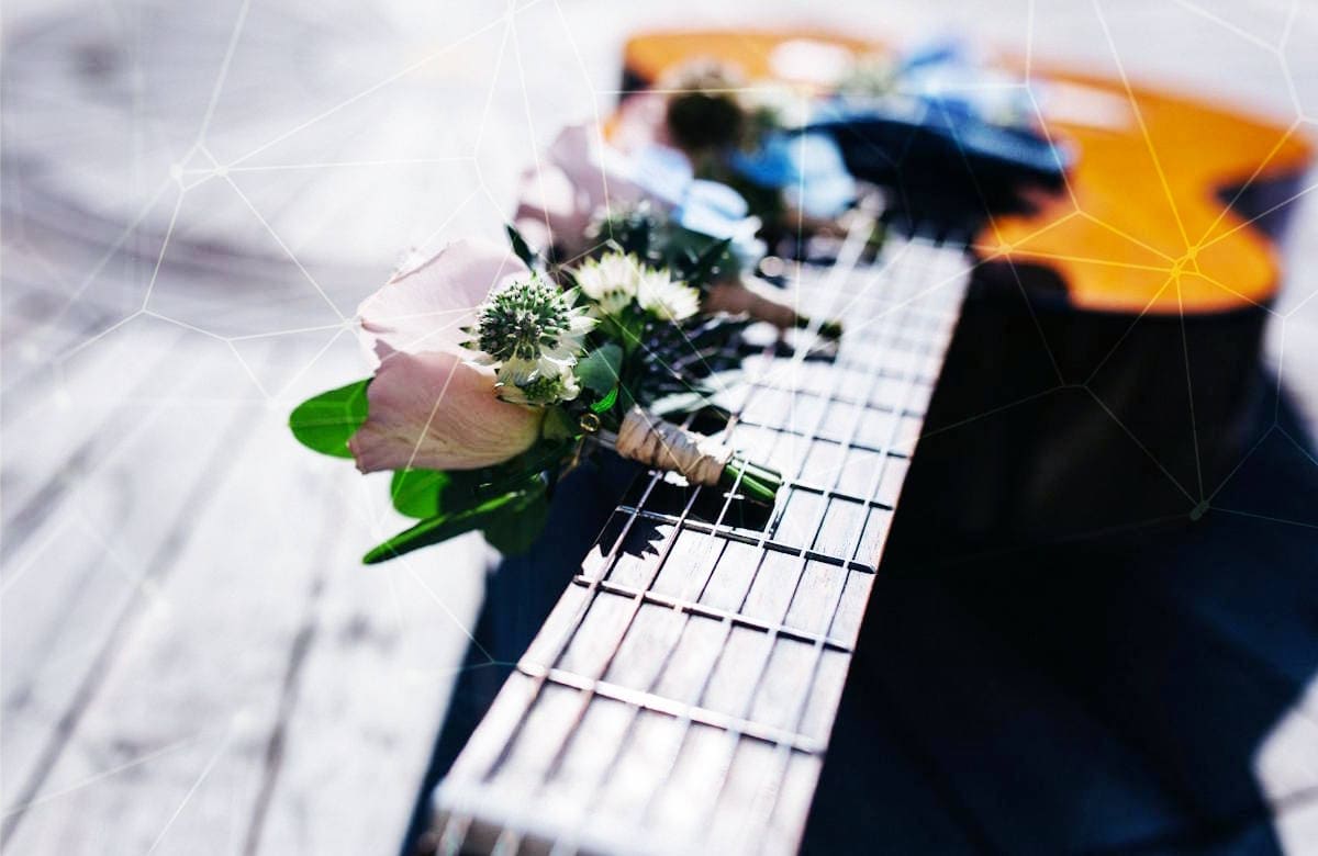 Гитара с бутоньерками в струнах